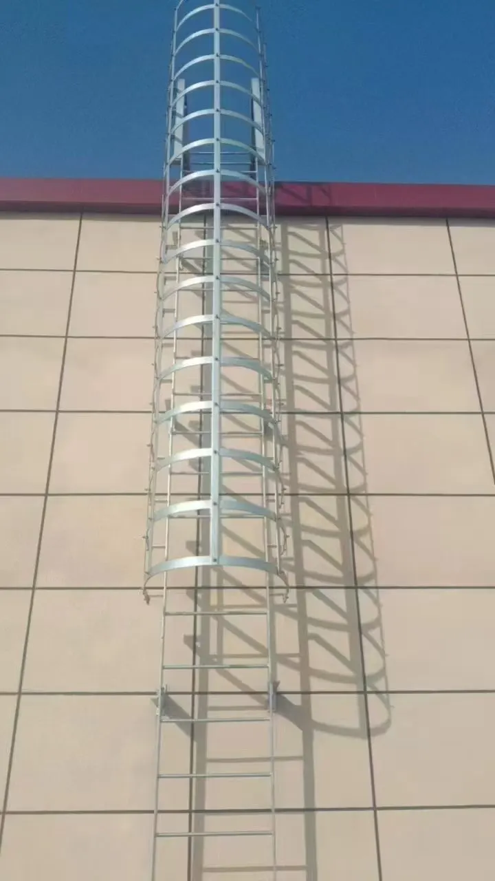 Steigleiter mit Rückenschutz im oberen Bereich an einer verkleideten Wand